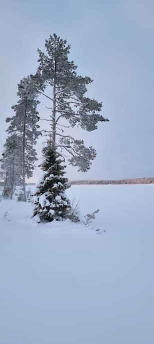Huvila Eraemaajaerven Rannalla Taivalkoskella Jokijarvi  Exterior photo
