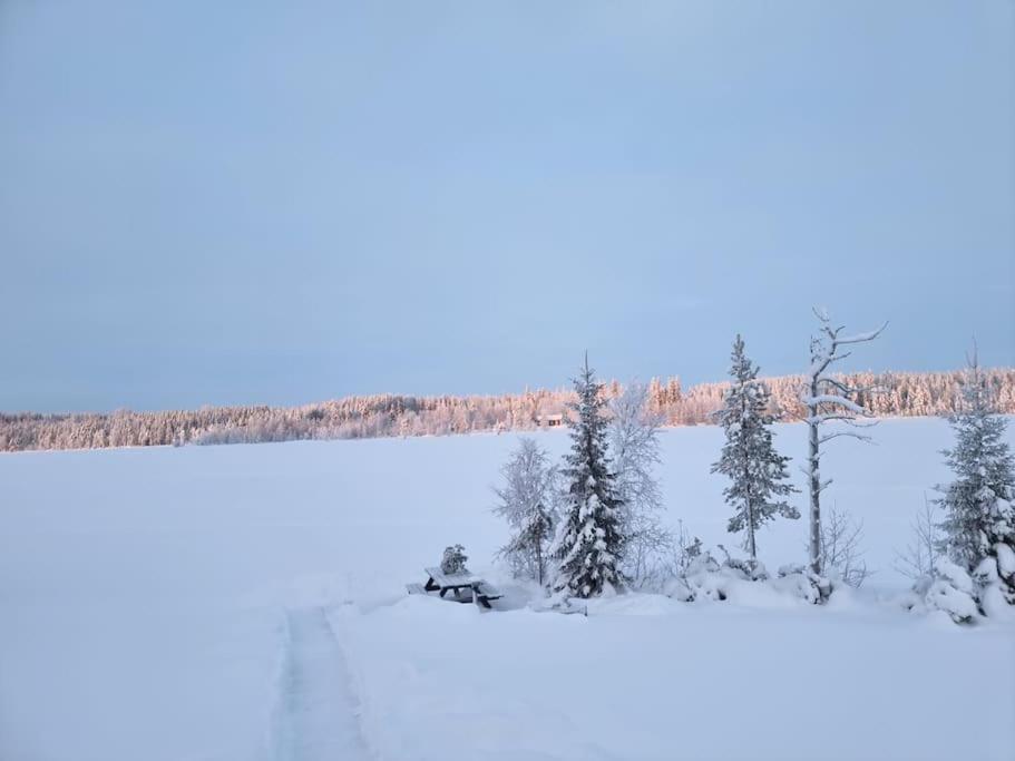 Huvila Eraemaajaerven Rannalla Taivalkoskella Jokijarvi  Exterior photo