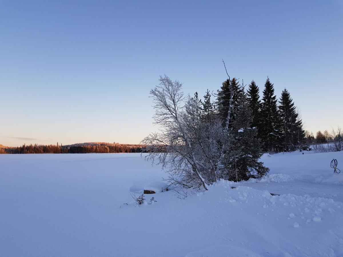Huvila Eraemaajaerven Rannalla Taivalkoskella Jokijarvi  Exterior photo